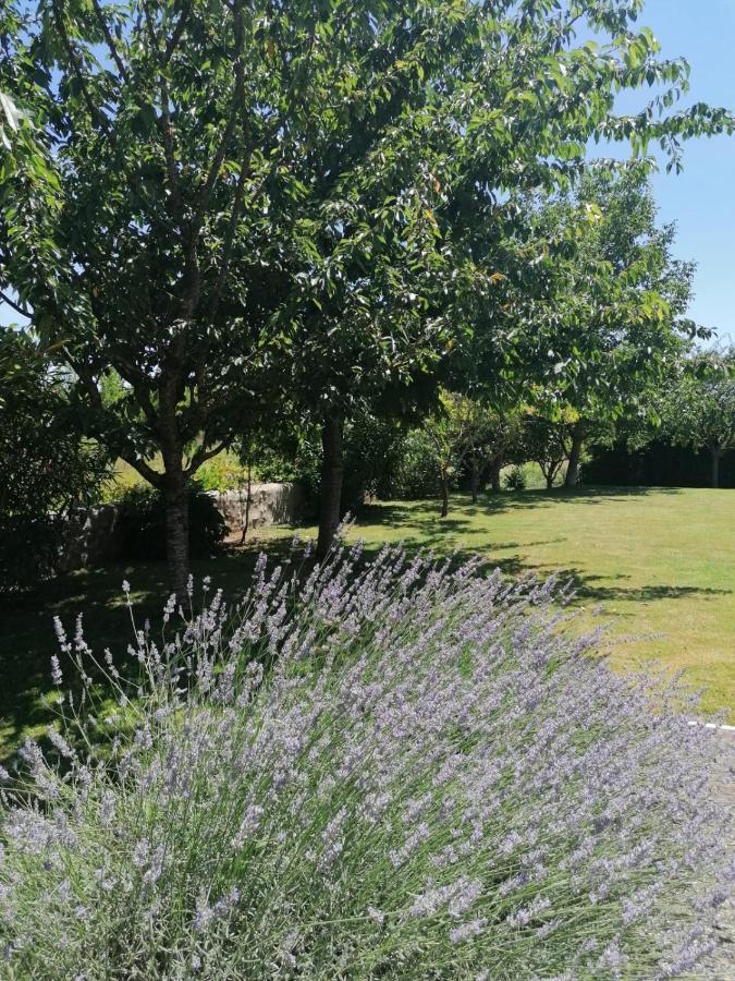 Bed and Breakfast Domaine Des Deux Rivieres Meilhan-sur-Garonne Exterior foto
