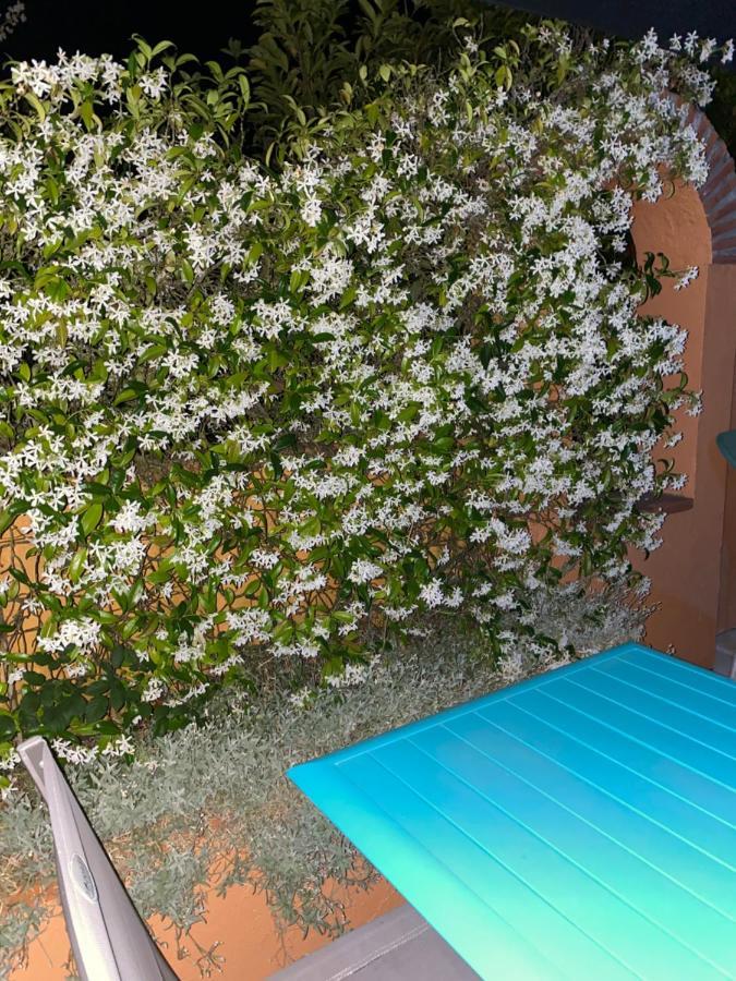 Bed and Breakfast Domaine Des Deux Rivieres Meilhan-sur-Garonne Exterior foto